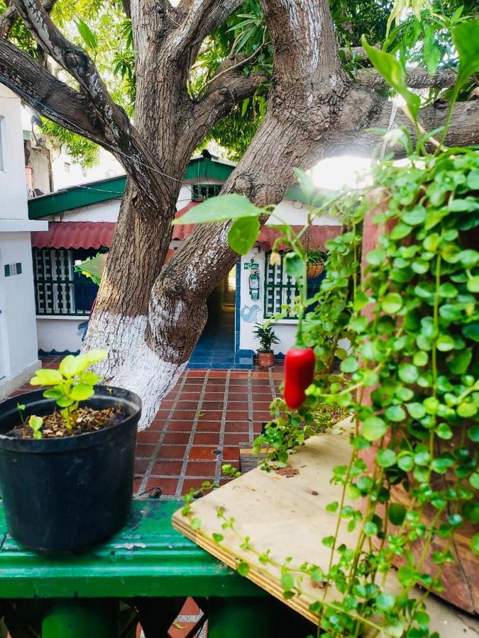 Tita'S Airport Hotel Cartagena エクステリア 写真